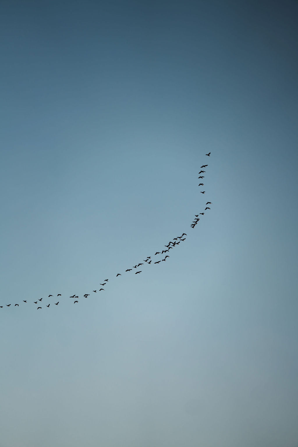 טקס טיהור עדין לבית וללב